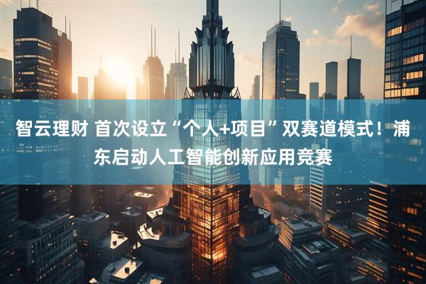 智云理财 首次设立“个人+项目”双赛道模式！浦东启动人工智能创新应用竞赛