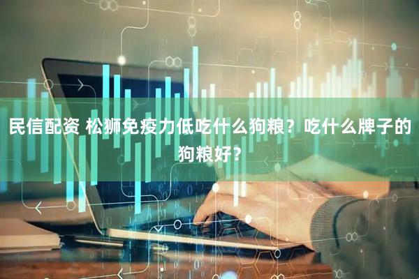 民信配资 松狮免疫力低吃什么狗粮？吃什么牌子的狗粮好？