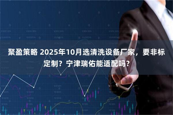 聚盈策略 2025年10月选清洗设备厂家，要非标定制？宁津瑞佑能适配吗？